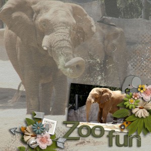Zoo Fun