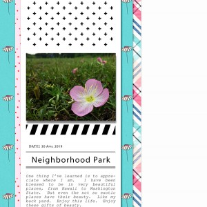 NeighboorhoodPark