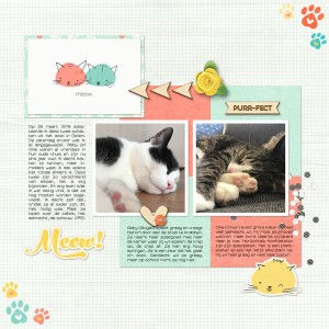 Meow