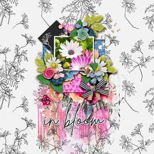 In Bloom