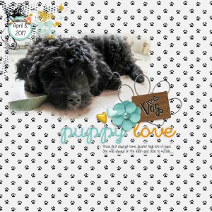 DogYear2017-front-cover