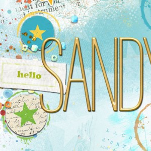 INSD-May-2019-Signature-Sandy