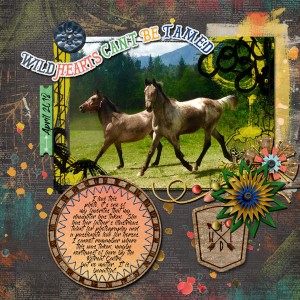 Wild & Free