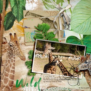 Wild