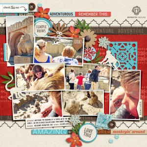 Adventure Zoo