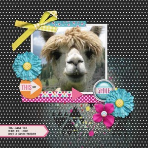 Llama-slow-scrap