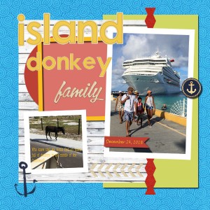 Island Donkey-600