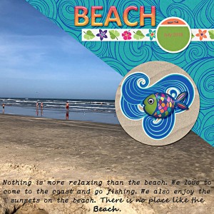 Beach - MIS May 2019
