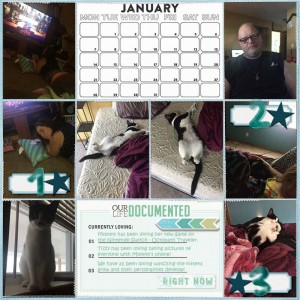 January at a Glance