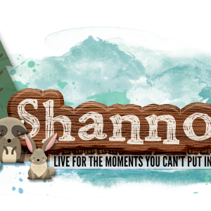 Shannonsiggy
