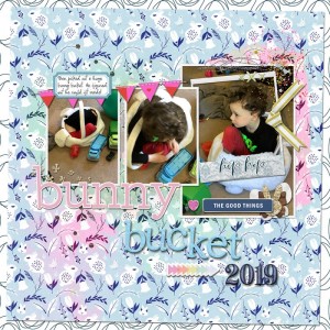 BunnyBucket2019iNSD2019SSC