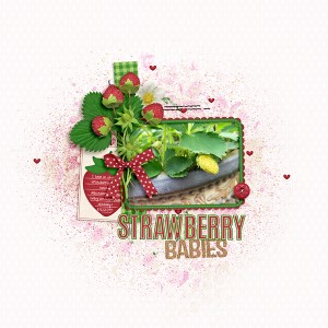 Strawberry Babies