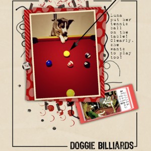 05-06_DoggieBilliards