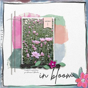 in Bloom