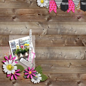 Blooms