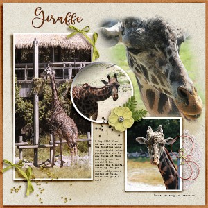 Giraffe
