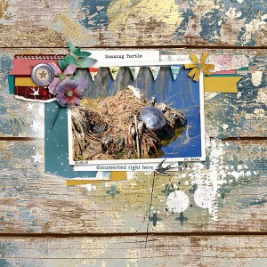 May 2019 Template Challenge