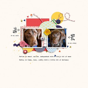 May 2019 Random Challenge