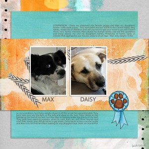 Random_MaxDaisy