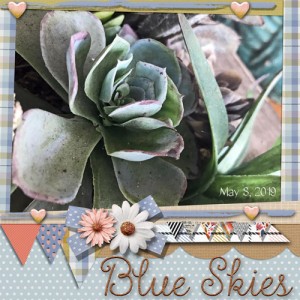 May Photography Challenge