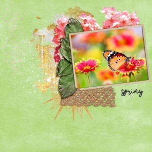 Lily-pad-may-photography