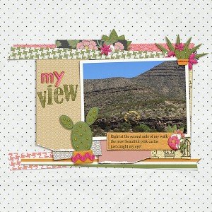 05002919-view-cactus-copy