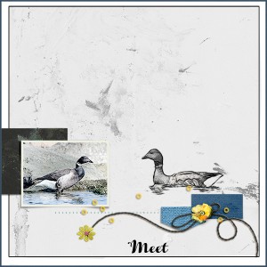 Meet