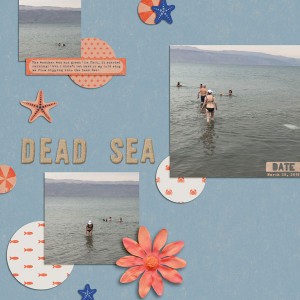 Dead Sea Swim