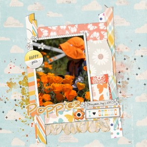 Poppies052019TCLG