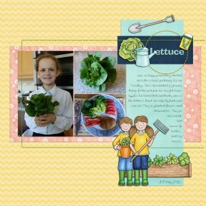 Lettuce
