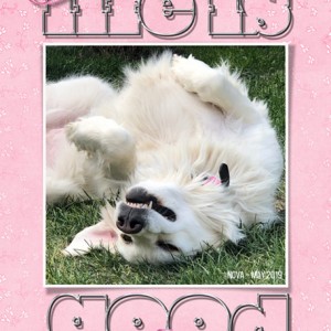 Nova-LifeIsGood