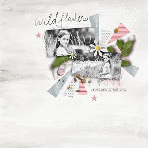 Wild Flower