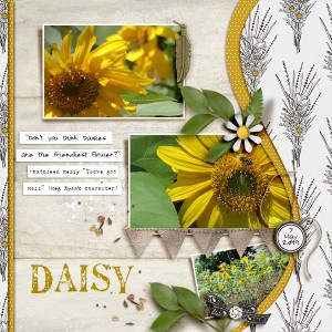 Daisy