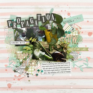 pRopagation-station-copy