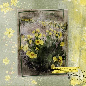 05-13-19_StackedFrames_FieldOfDaisies_Watercolor