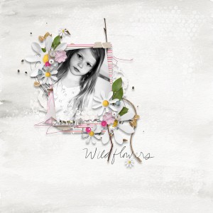 Wild Flower