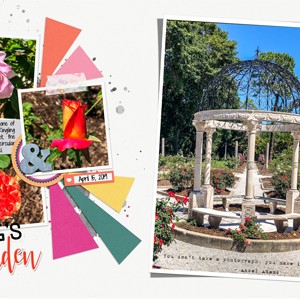 Mabel Ringling's Rose Garden