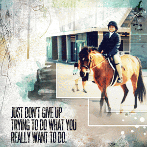 Just Don't Give Up
