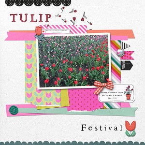 Tulip Festival