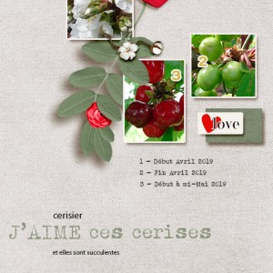 Cerises