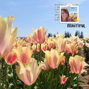 Tulip Festival