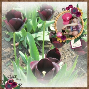 Flower Photographer