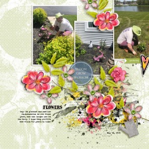 May '19 Flowers
