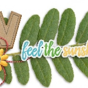 For Bev