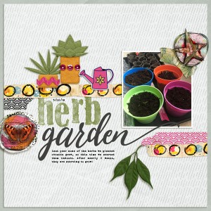 Herb Garden
