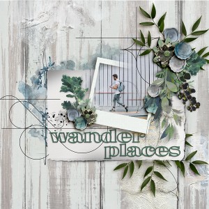 Wander Places