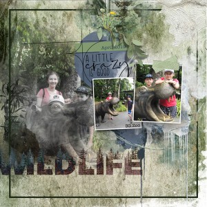 wild & crazy