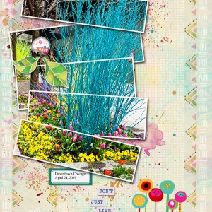 2019-05_May-TLP_Slow-Scrap_0522_web