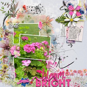 Bloom bright