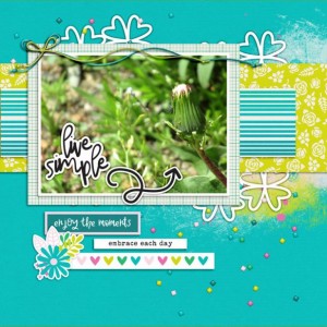 MAY PHOTOGRAPHY CHALLENGE
